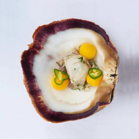 oysters ecuador