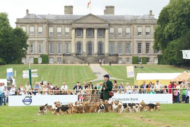 Ragley Hall CLA Game Fair