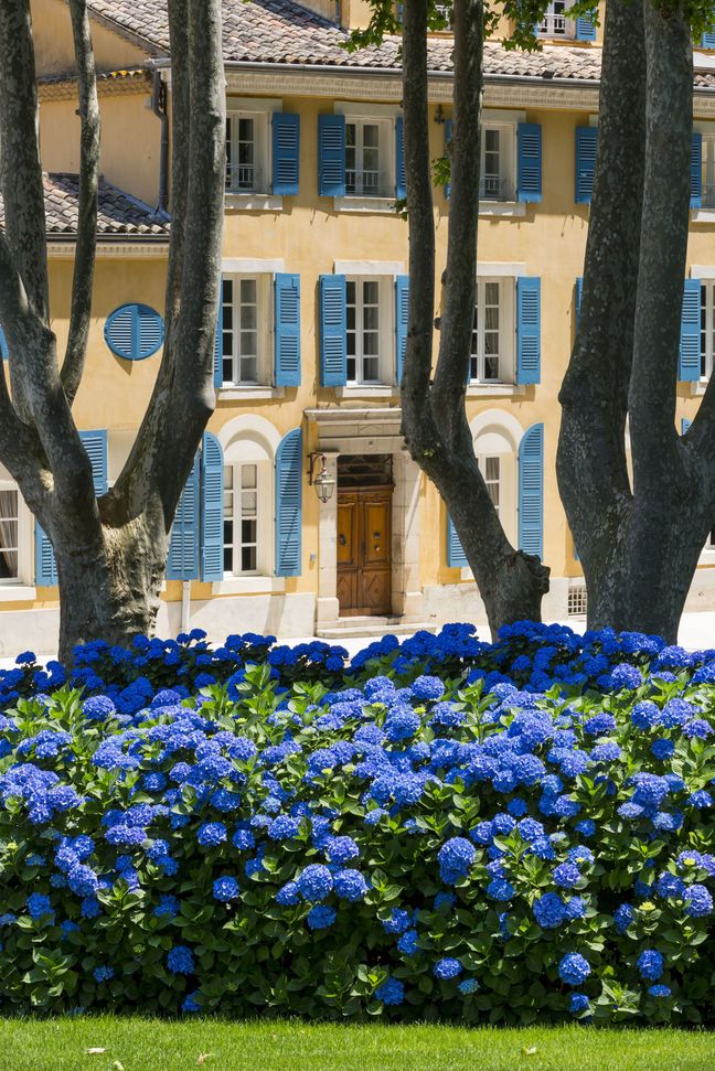 Chateau d’Esclans Domaines Sacha Lichine La Motte en Provence