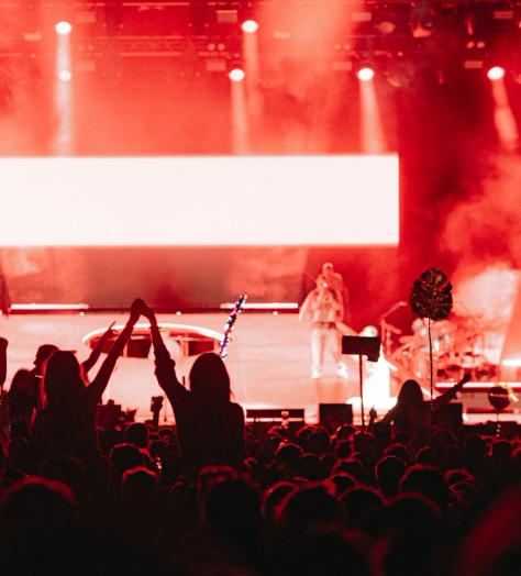 The Diary: Wilderness Festival 2025