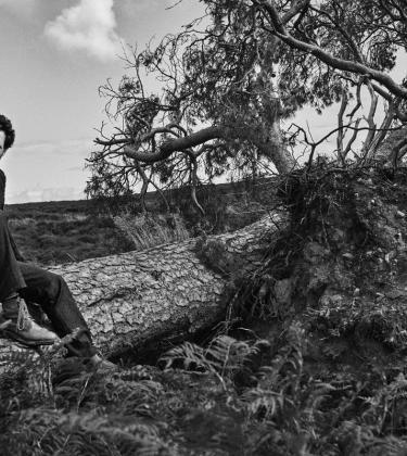 Man in thick Aubin jumper sat on a fallen tree