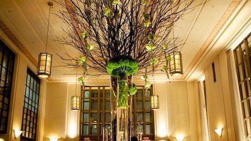 5 for the bucket list: the best restaurants in the world