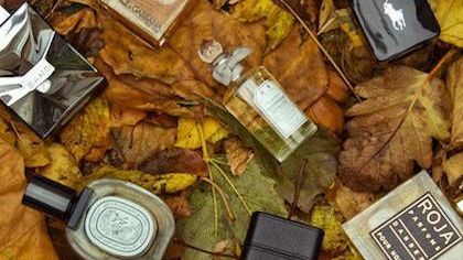 The Edit – Winter Fragrances