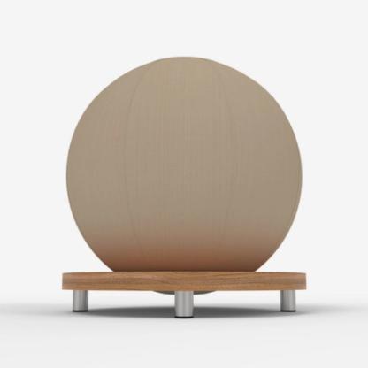 Paragon Studio Exercise Ball Holder