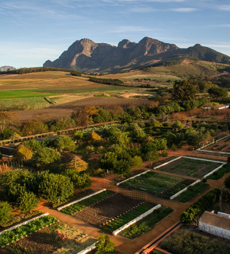 Babylonstoren offers a lesson in cultivating longevity