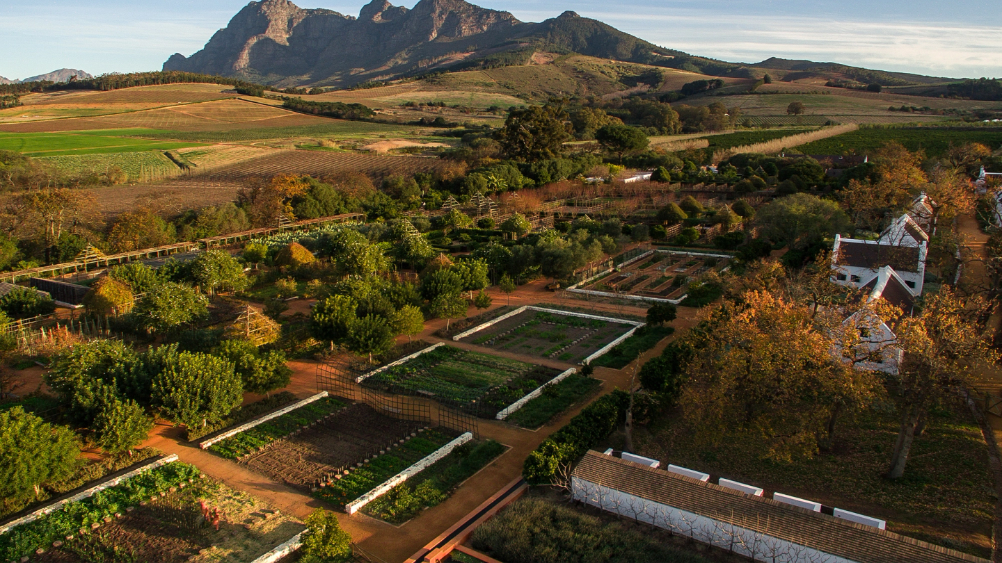 Babylonstoren offers a lesson in cultivating longevity