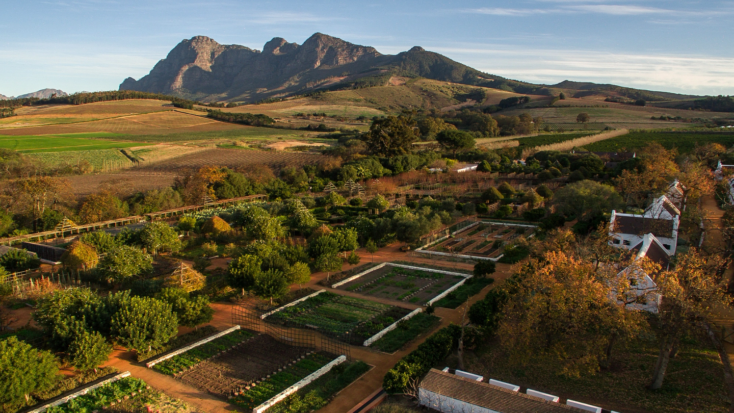 Babylonstoren offers a lesson in cultivating longevity