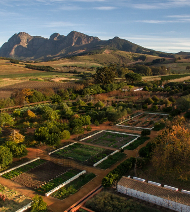 Babylonstoren offers a lesson in cultivating longevity