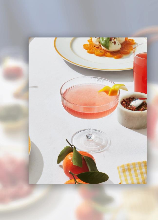 negronis cocktail boulevardier contessa 212 jasmine massimo