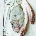 ‘Hook, Line & Sinker’ at Billingsate Fish Market