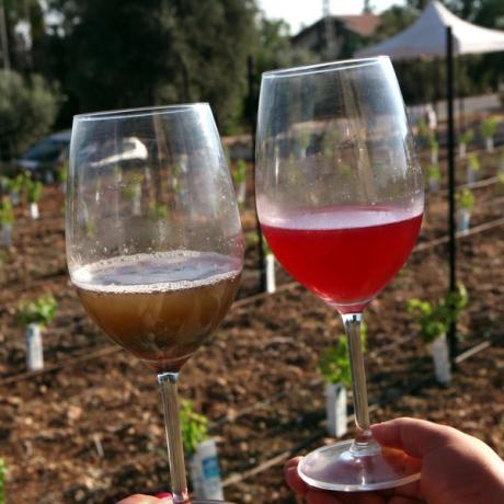 Natural wine