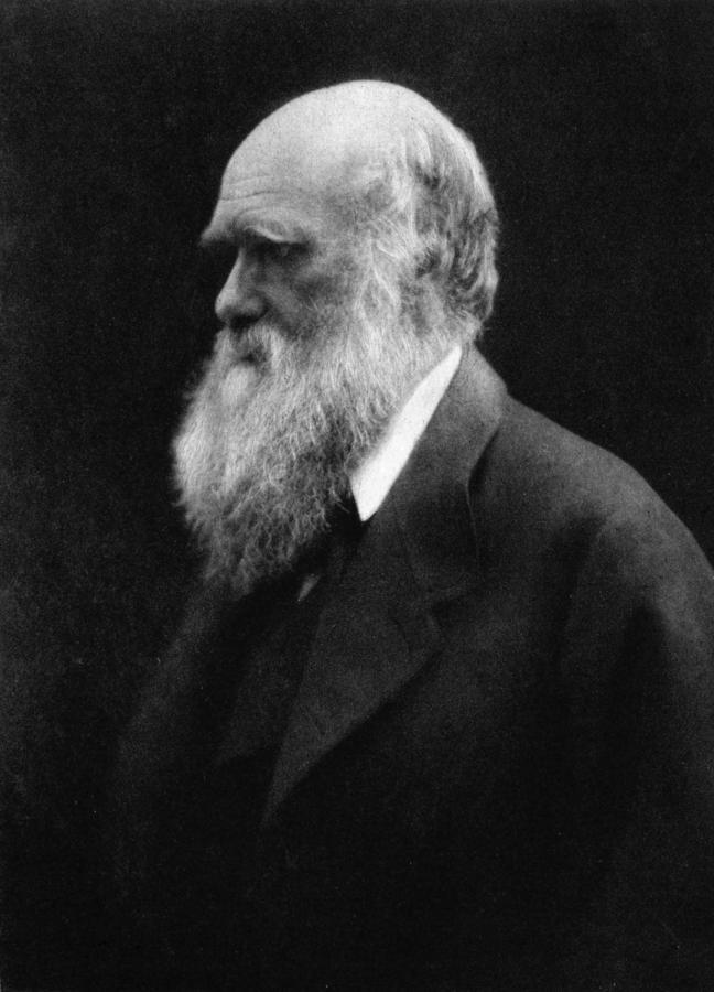 charles-darwin