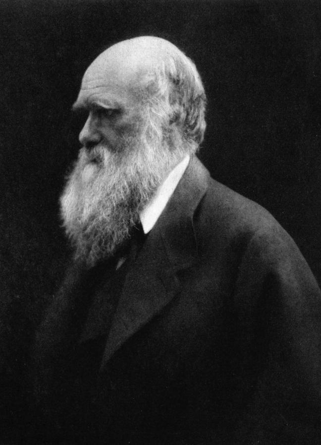 charles-darwin