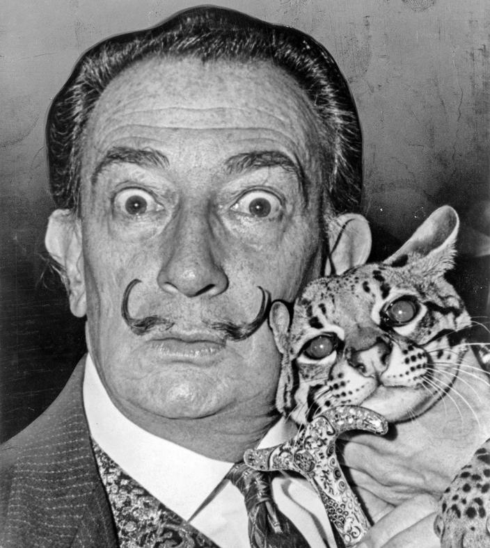 salvador dali