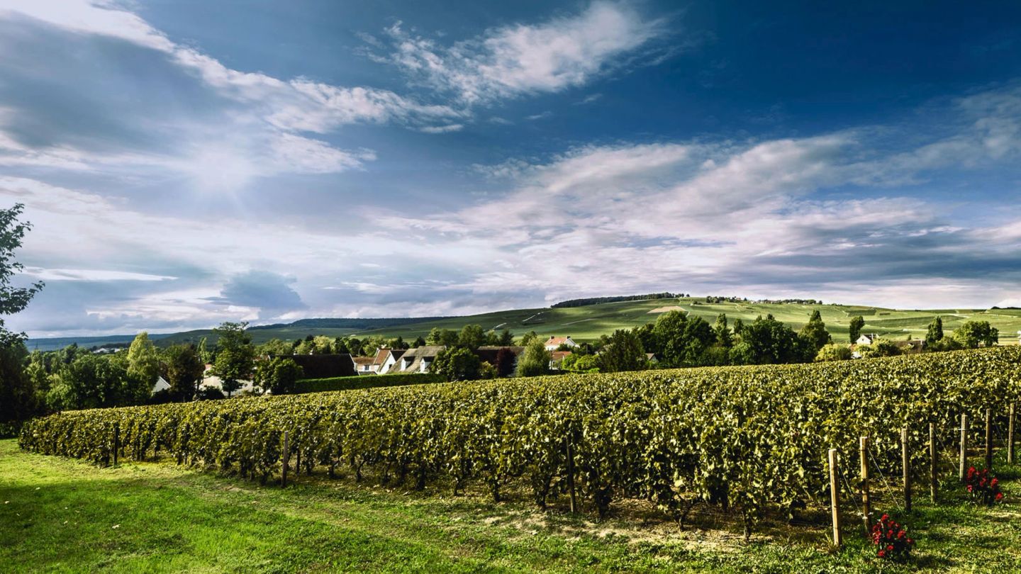 Wine of the Week: Billecart-Salmon Clos Saint-Hilaire 2008