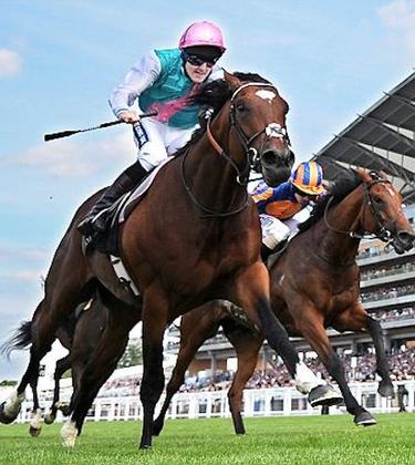 The most notable Ascot wins