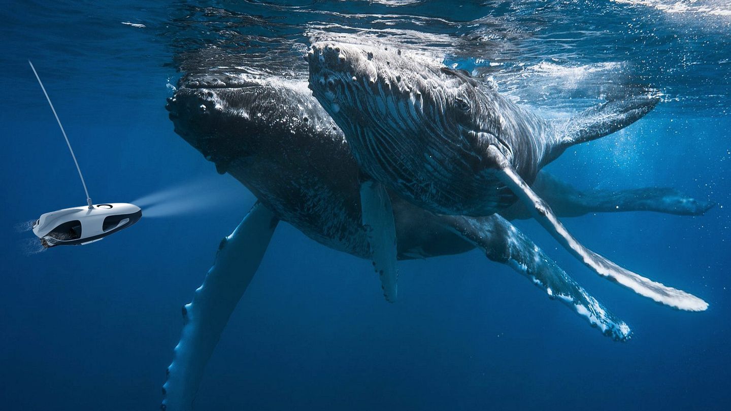 The best underwater drones to take on holiday this summer