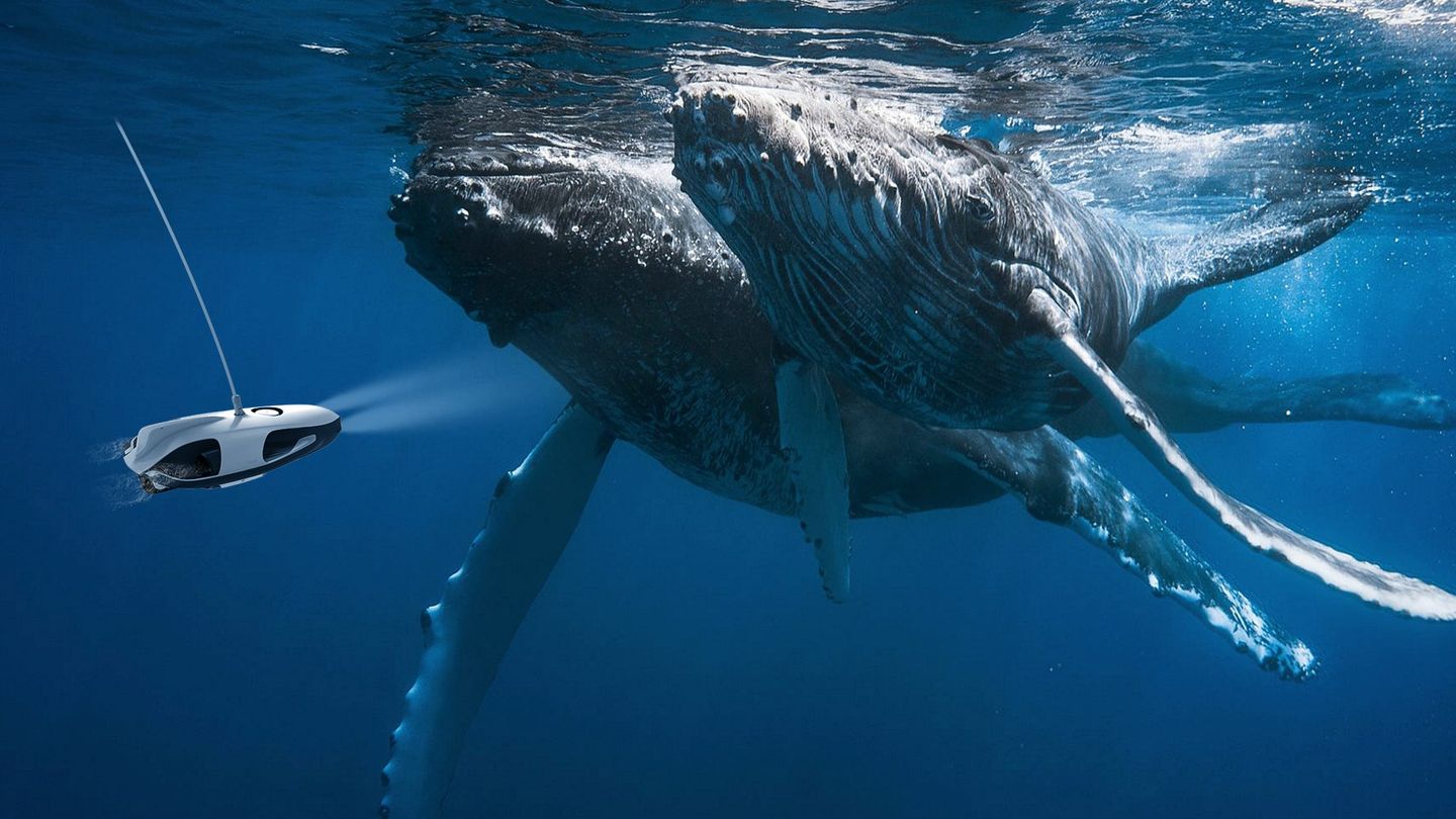 The best underwater drones to take on holiday this summer