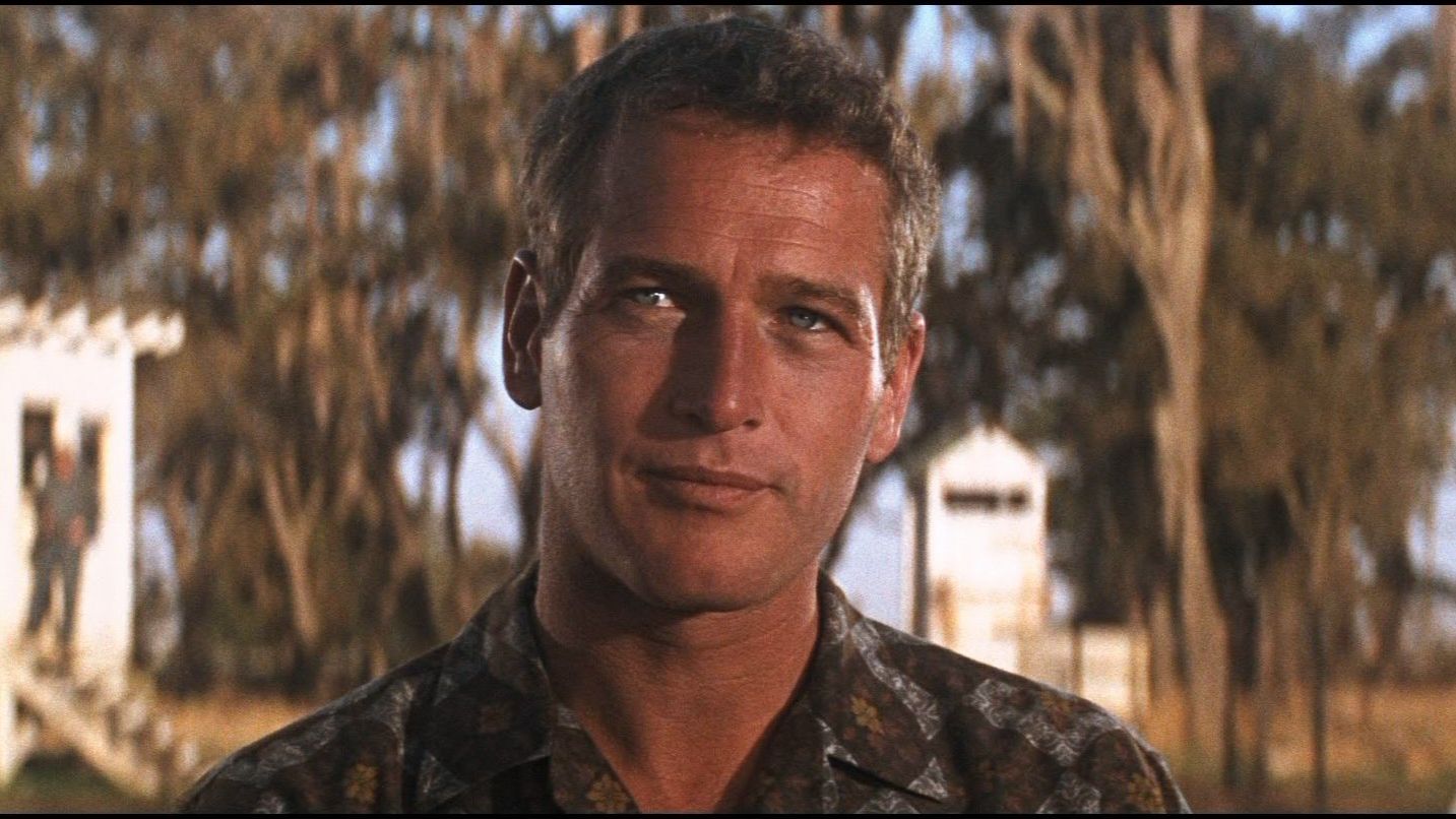 The Paul Newman guide to dressing for summer