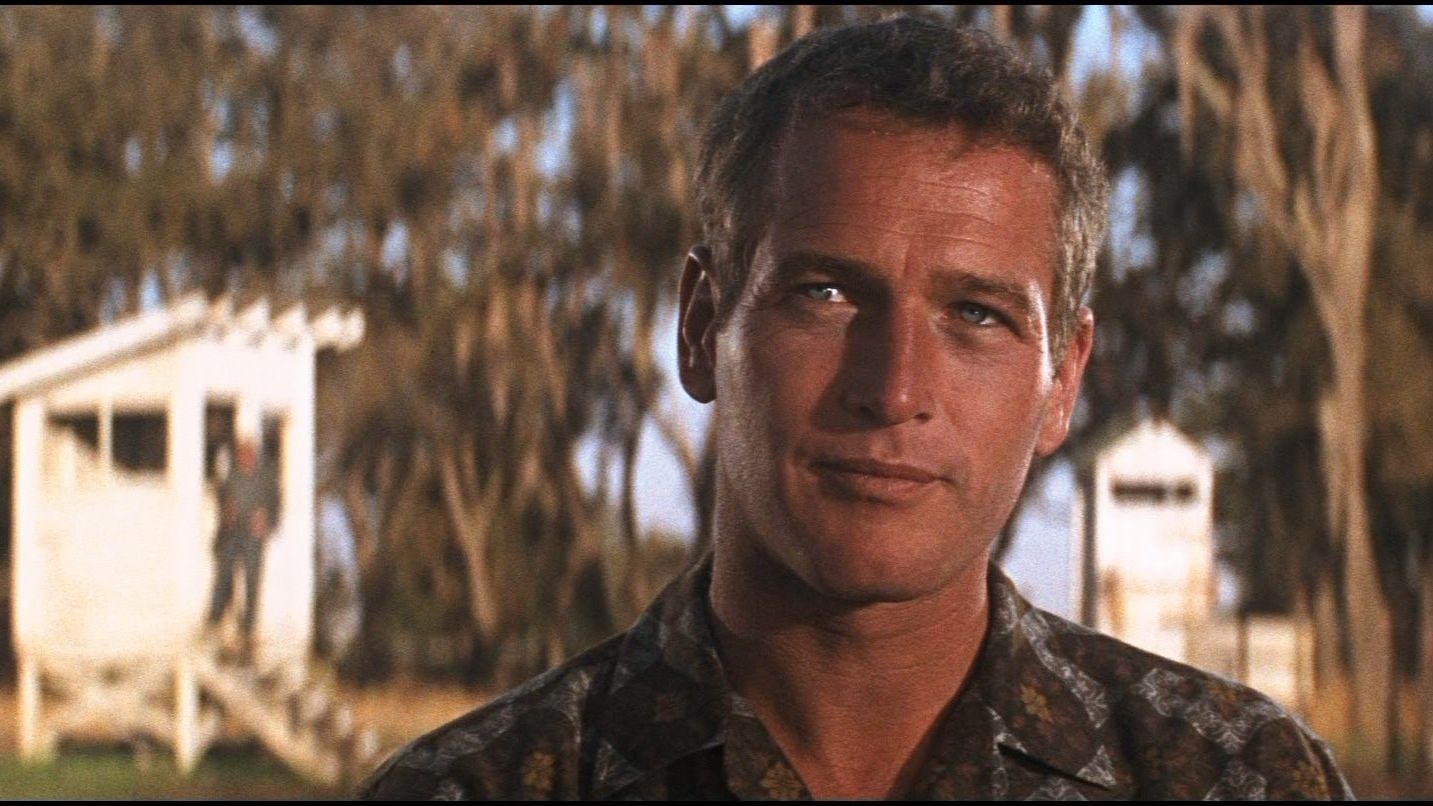 The Paul Newman guide to dressing for summer
