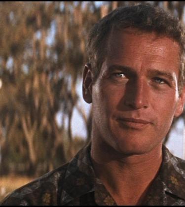 The Paul Newman guide to dressing for summer