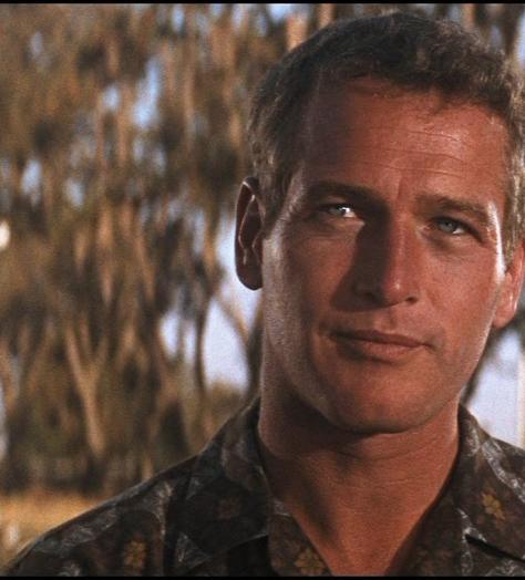 The Paul Newman guide to dressing for summer