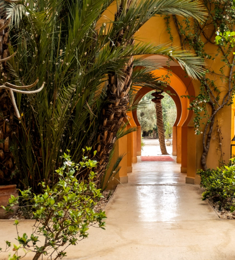 Mindfulness in Marrakech – welcoming men to nurture their mental wellness