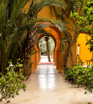 Mindfulness in Marrakech – welcoming men to nurture their mental wellness