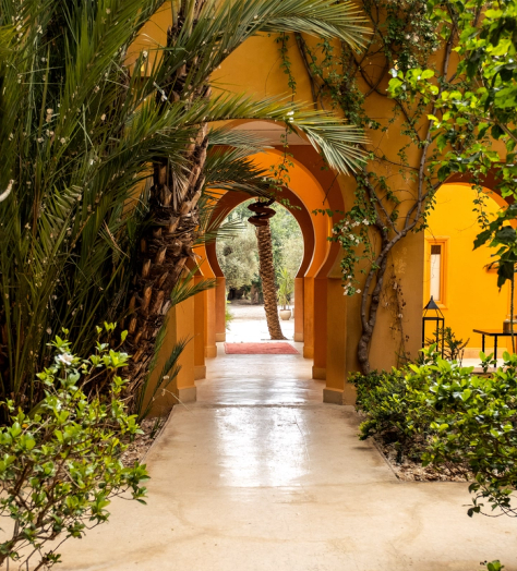 Mindfulness in Marrakech – welcoming men to nurture their mental wellness