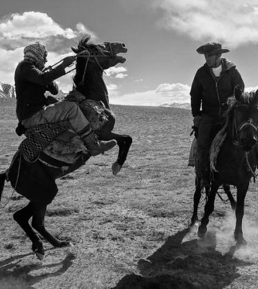 levison wood encounters