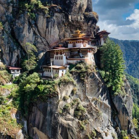 Lawrence Van Hagen, gallerist — Bhutan
