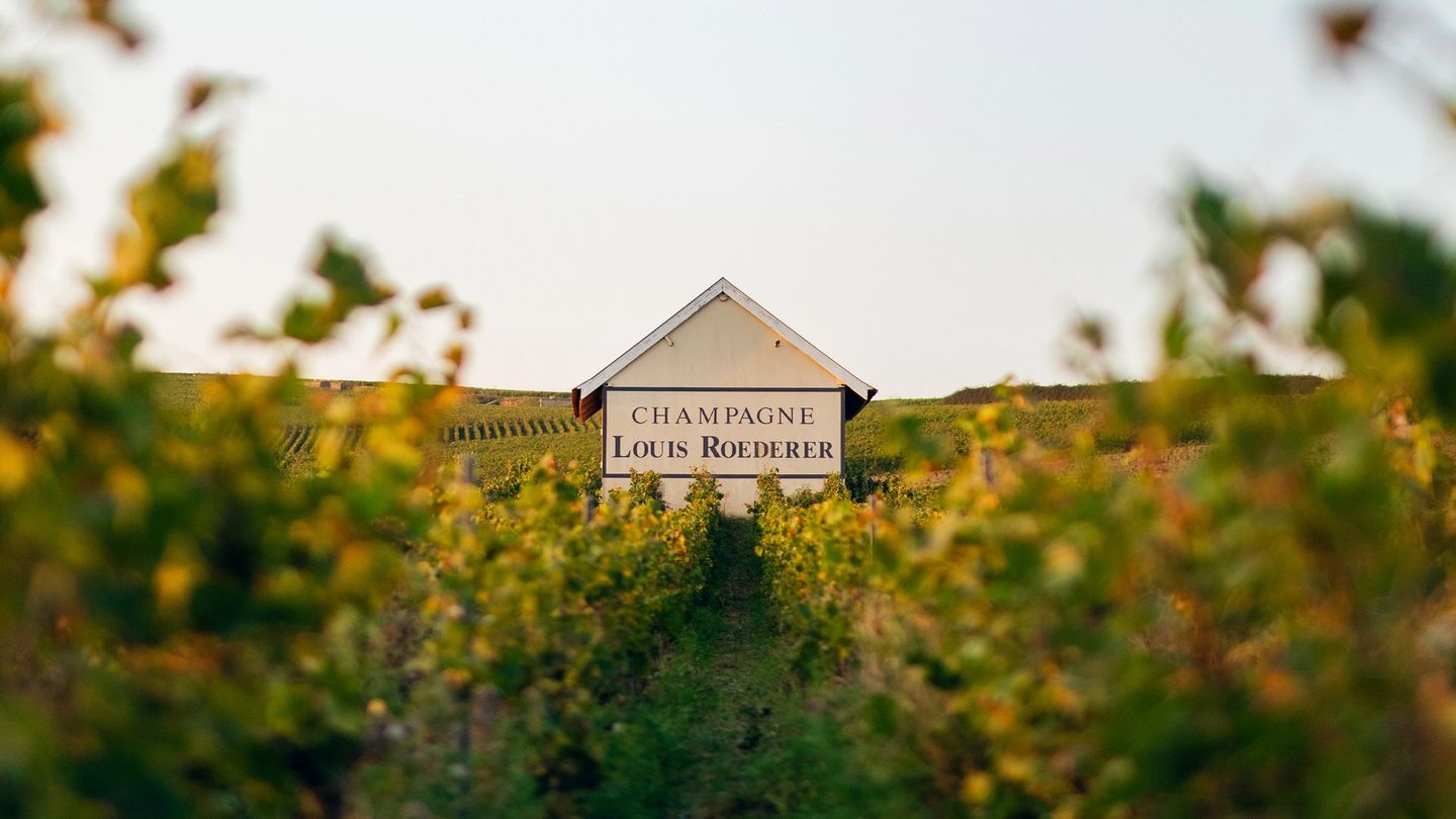 What does it take to be the most admired Champagne brand in the world?