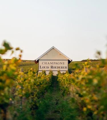 What does it take to be the most admired Champagne brand in the world?