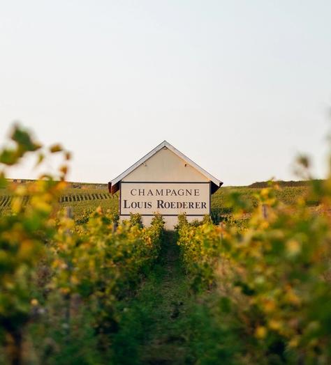 What does it take to be the most admired Champagne brand in the world?