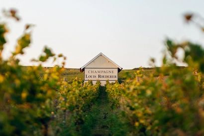 What does it take to be the most admired Champagne brand in the world?