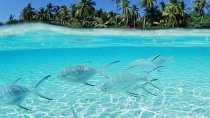 10 beaches you must visit before you die