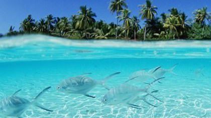 10 beaches you must visit before you die