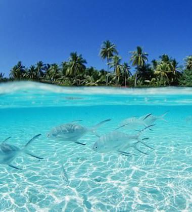 10 beaches you must visit before you die