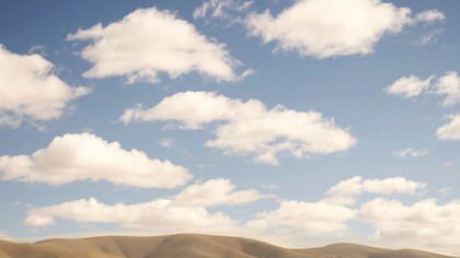 THE THREE MOST WEIRD AND WONDERFUL RALLIES