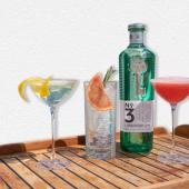 No.3 Gin Summer Cocktail Cruise