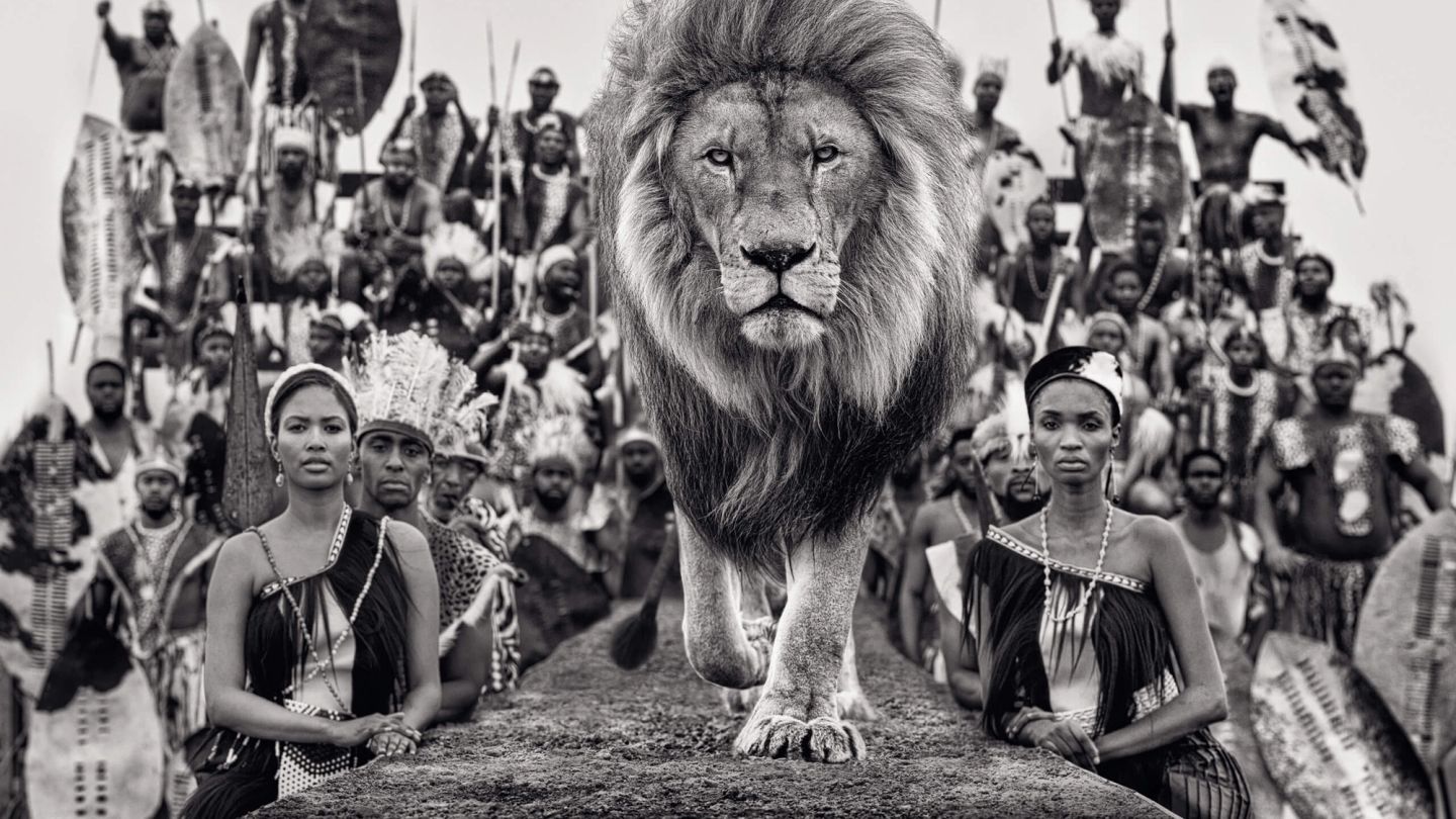 Top Cat: Iconic photographer David Yarrow talks luck, logistics — and lion cages