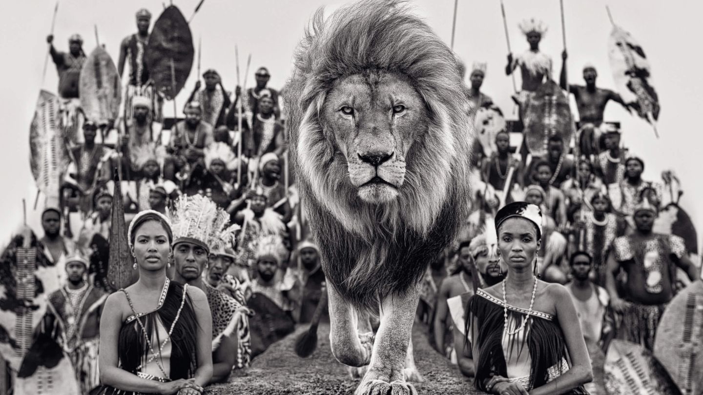 Top Cat: Iconic photographer David Yarrow talks luck, logistics — and lion cages
