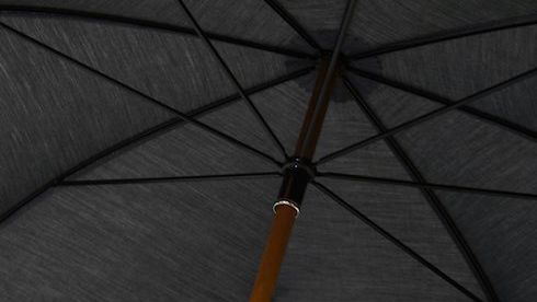 The Pick: Don’t get caught in the rain without this Lifesaver
