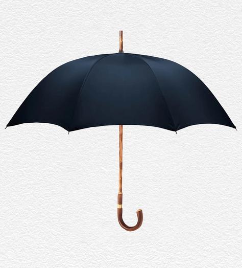 Editor’s Picks: MR MARVIS sneakers, A. Lange & Söhne watch, Swaine umbrella and Bennett Winch suit carrier