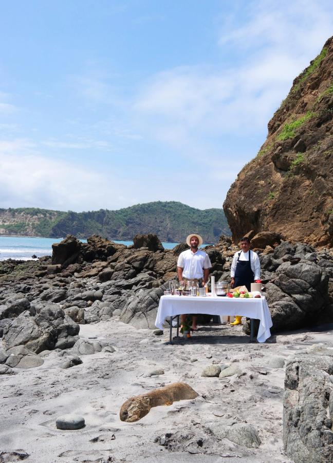 oysters ecuador