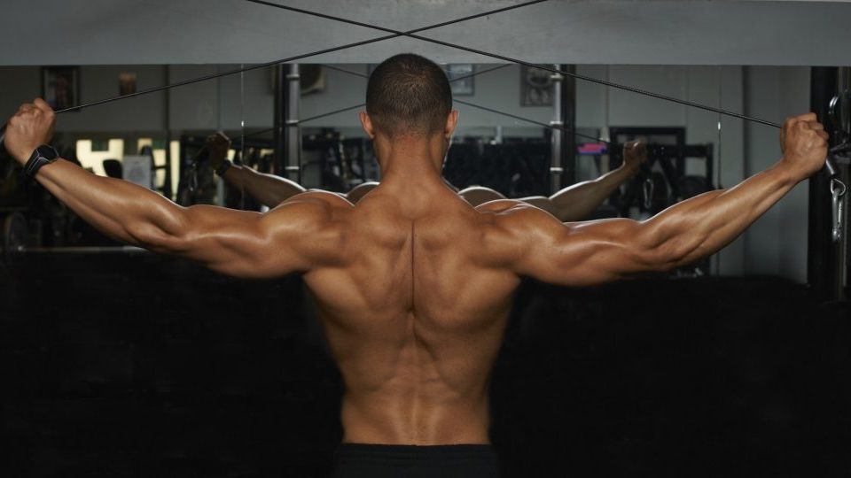 5 exercises to help you build a Cobra back