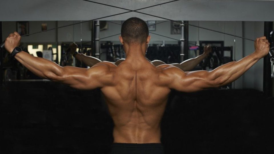 5 exercises to help you build a Cobra back