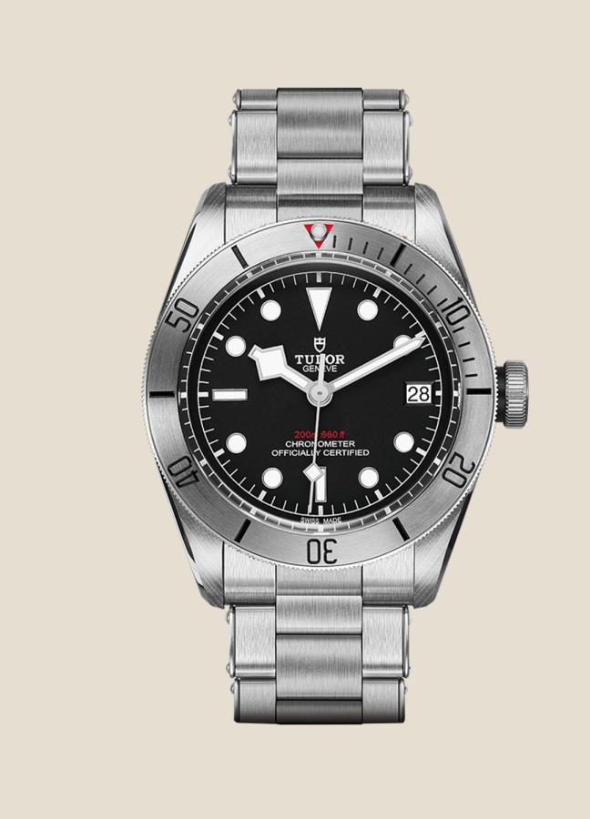 Tudor Black Bay Steel