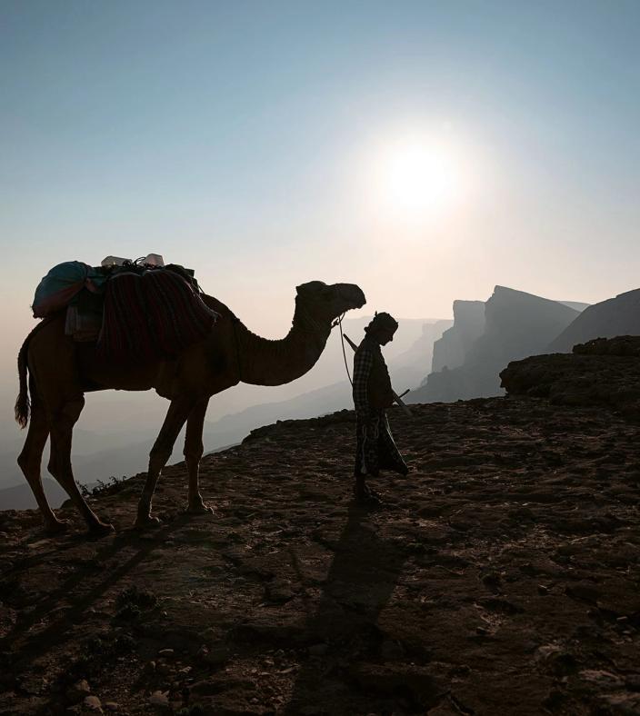 levison wood encounters