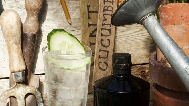 The Hendrick’s Gin & Tonic